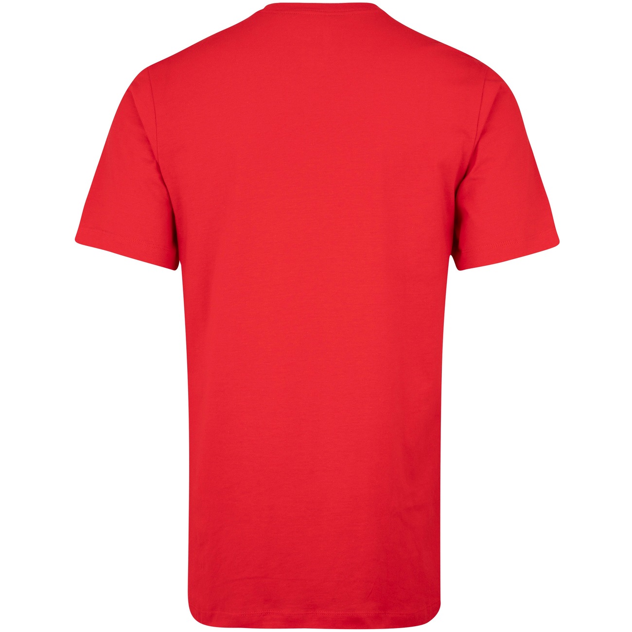 Camiseta do Chicago Bulls NBA Nike Masculina Essentials - Video 1
