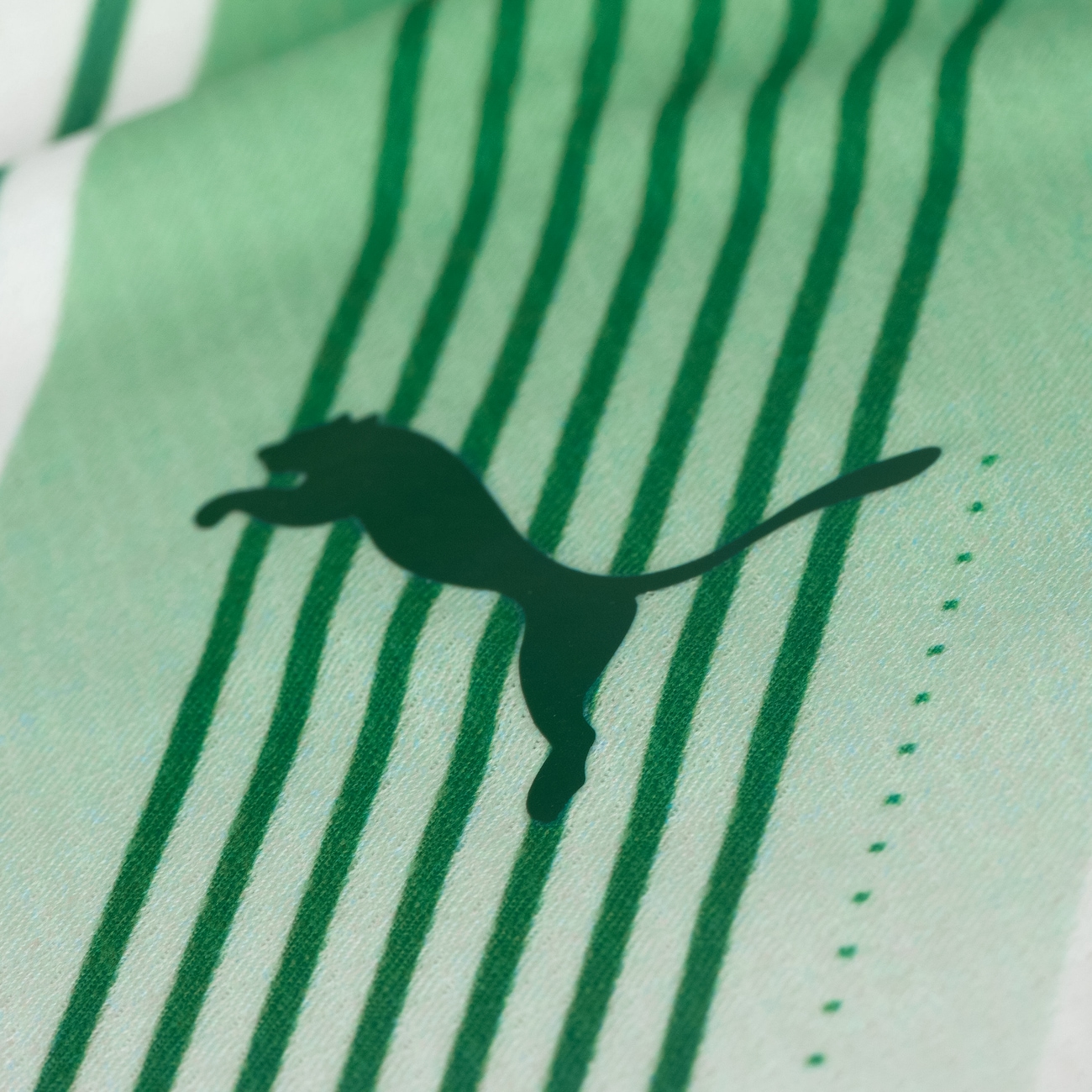 Camisa do Palmeiras II 23 Masculina Puma Torcedor - Video 1