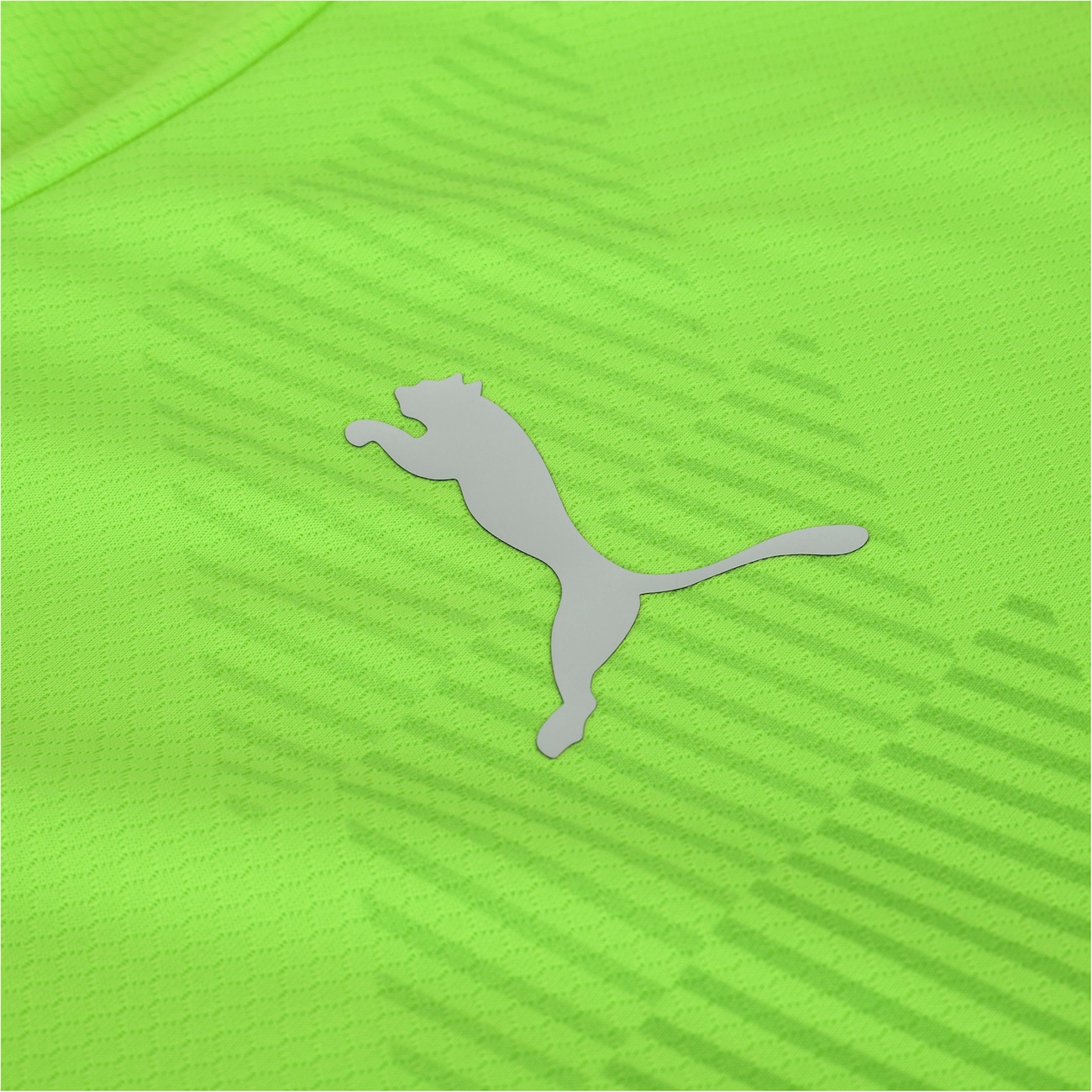 Camisa de Goleiro do Palmeiras II 23 Puma - Masculina - Video 1