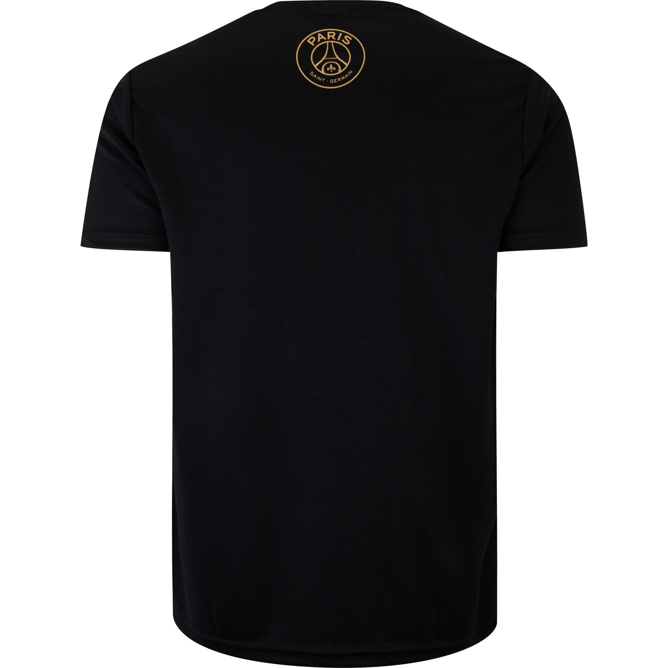 Camiseta do PSG Masculina Dry Fit Básica - Video 1