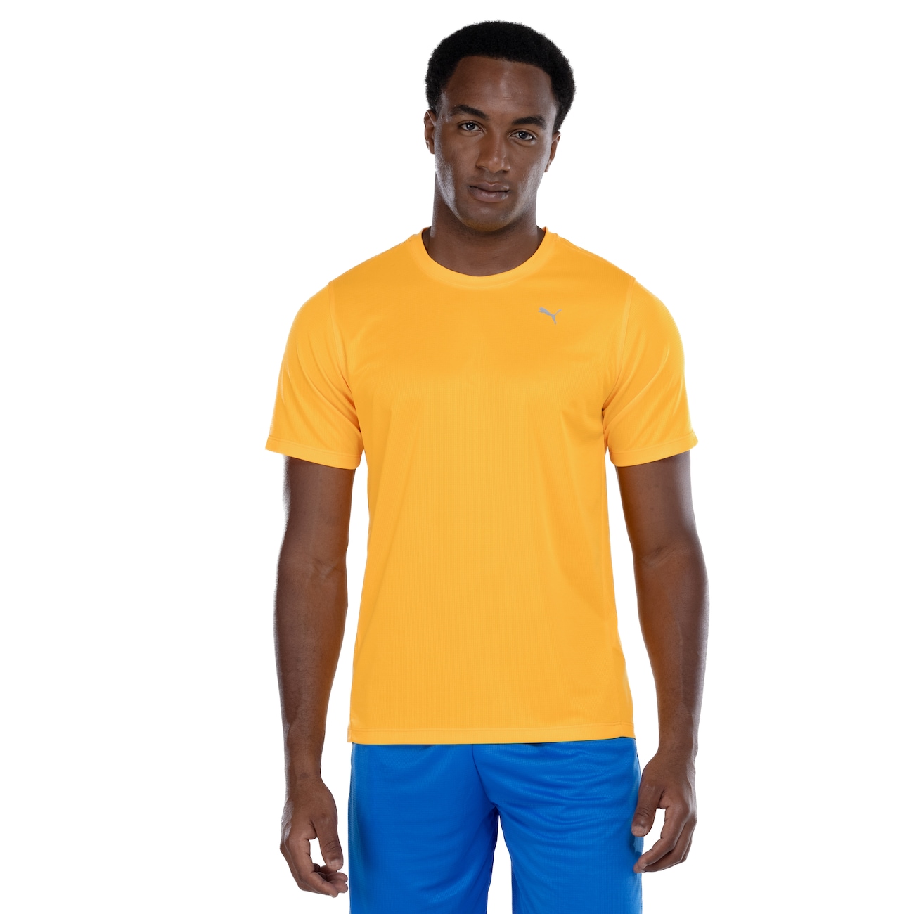 Camiseta Masculina Puma Manga Curta Performance SS
