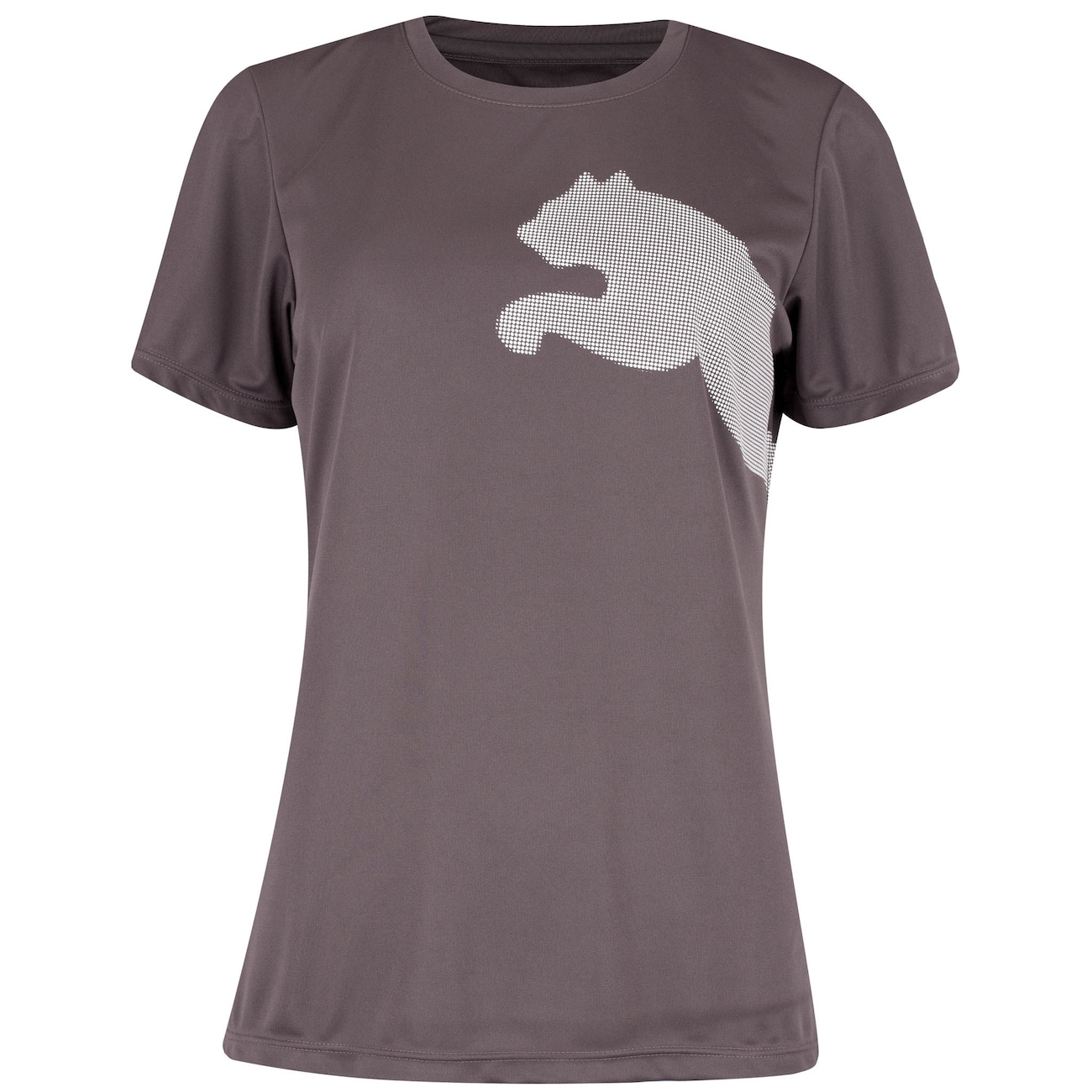 Camiseta Feminina Manga Curta Puma Tad Big Logo Jersey - Video 1