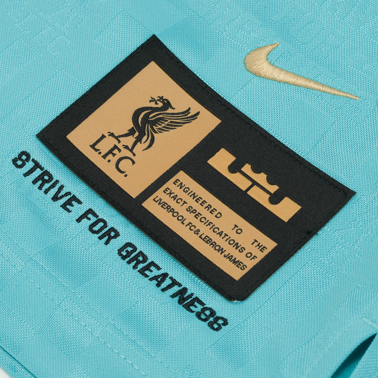 Camiseta Regata Liverpool x LeBron James Nike DNA Masculina - Video 1