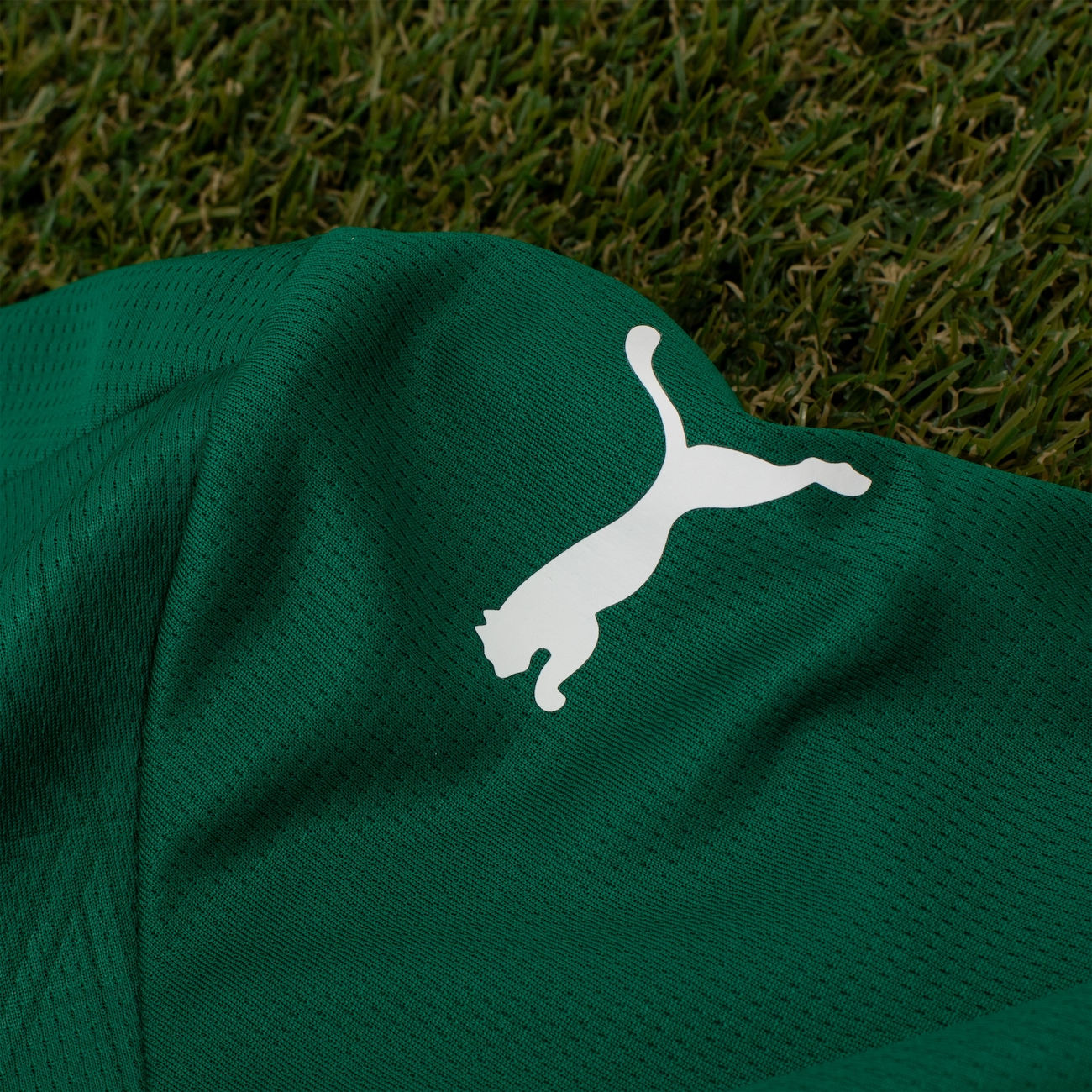 Camisa do Palmeiras I 25/26 Puma Torcedor - Fictor - Masculina - Video 1