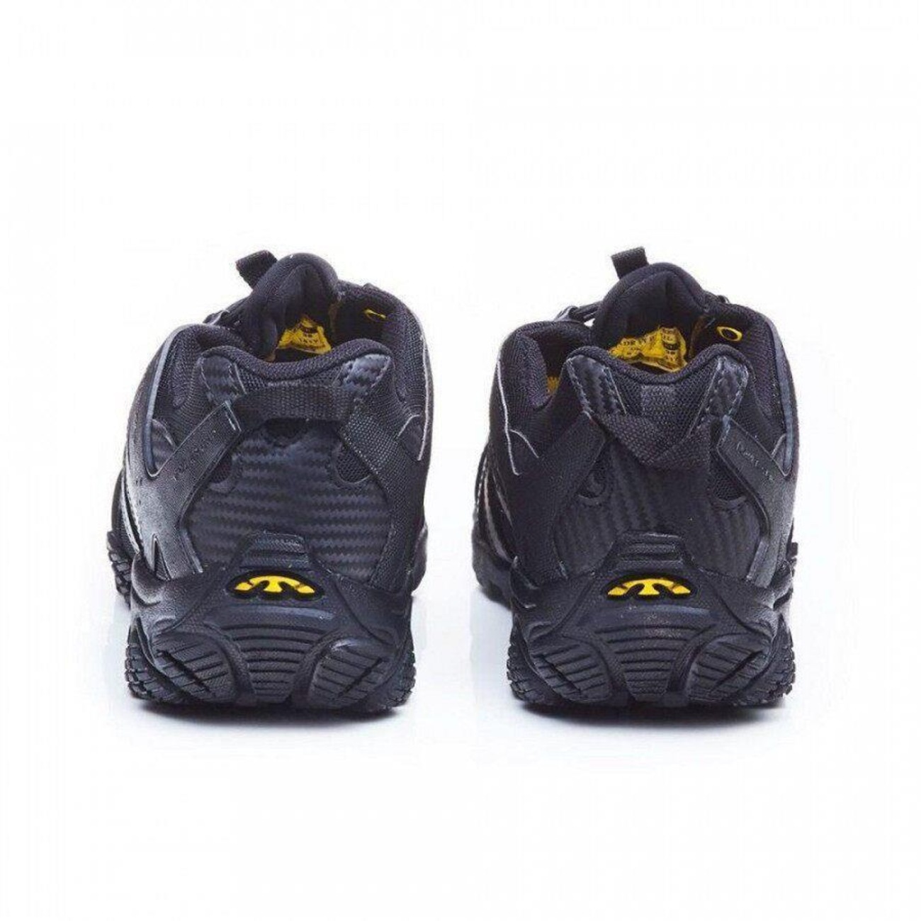 bull terrier dragon 3