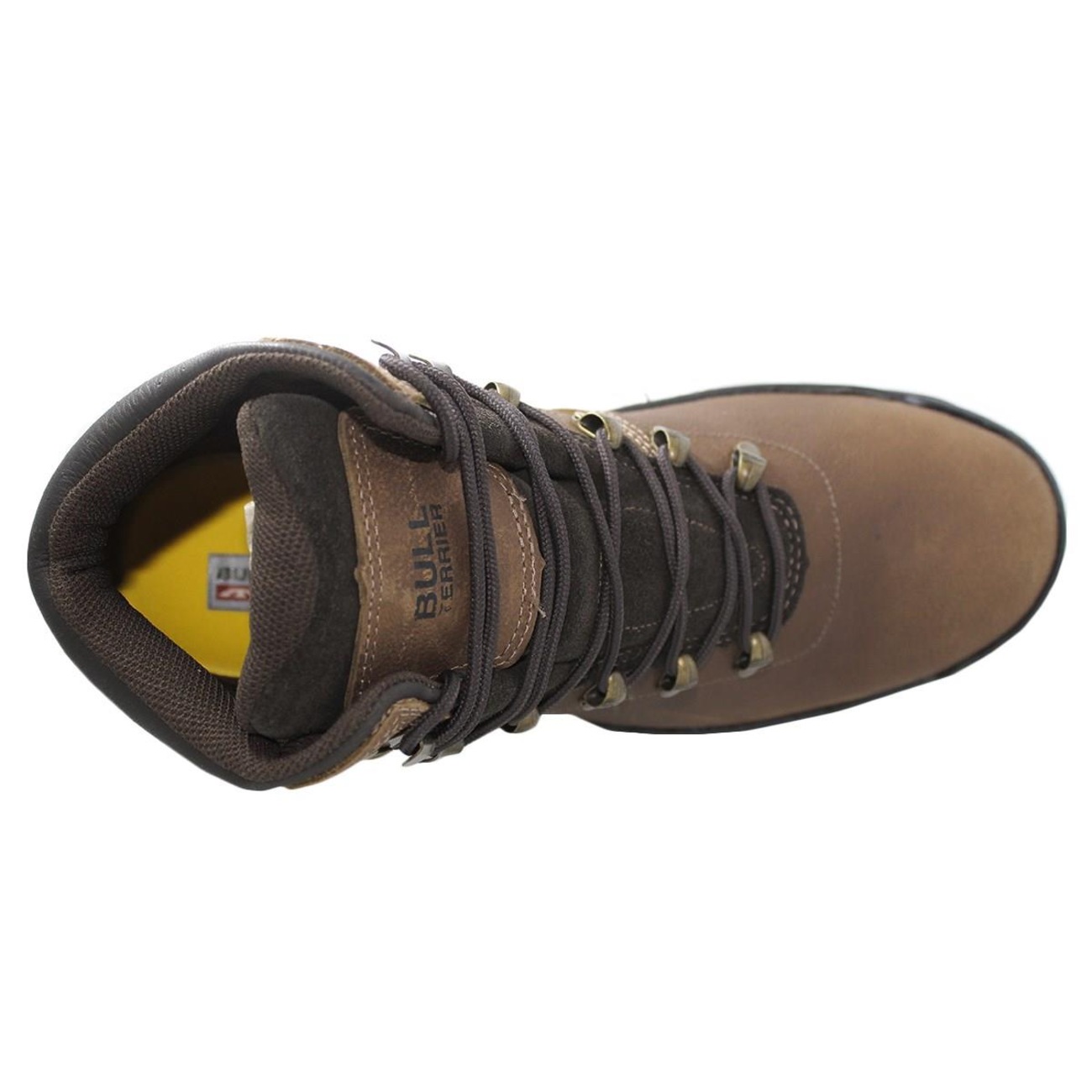 bota bull terrier hummer