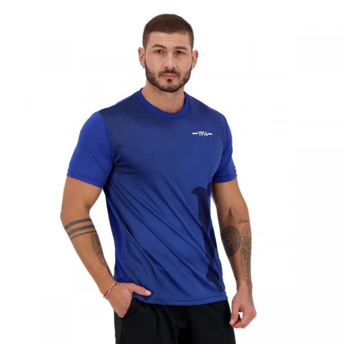 camiseta palestra