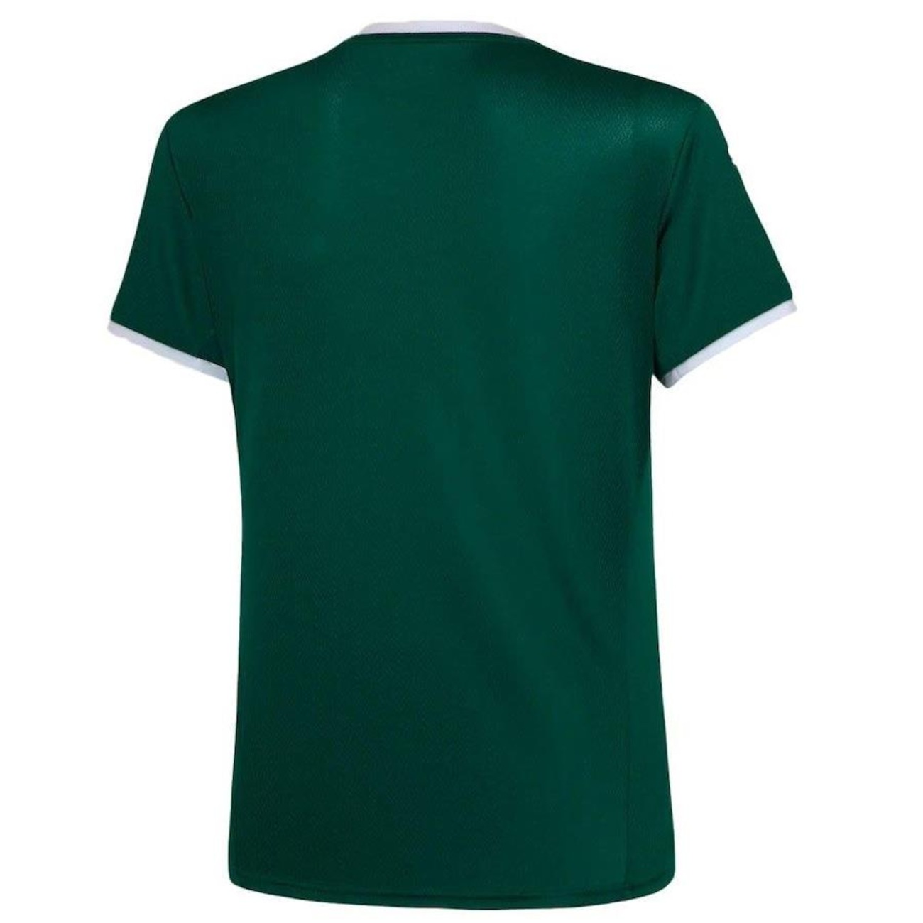 Camisa palmeiras 2024 puma centauro