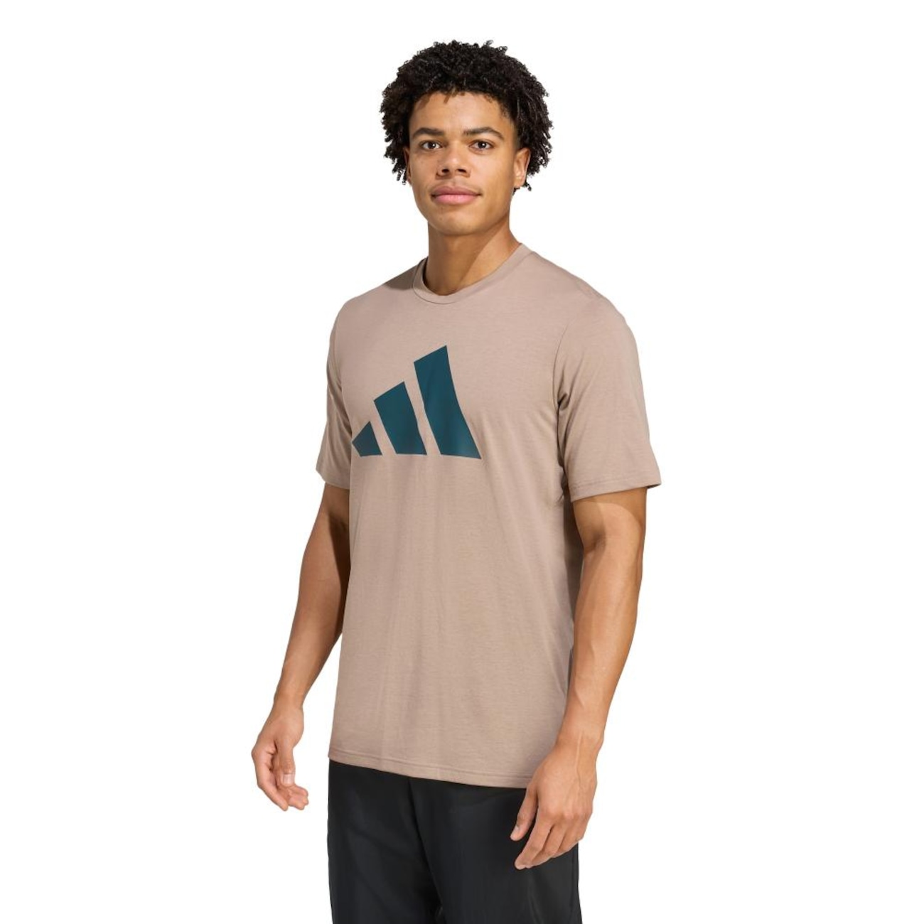 Camiseta Masculina adidas Manga Curta Essentials Logo