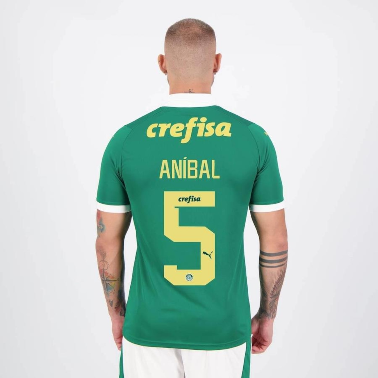 Camisa 1 do Palmeiras 2024 5 Aníbal Puma - Masculina em Promoção