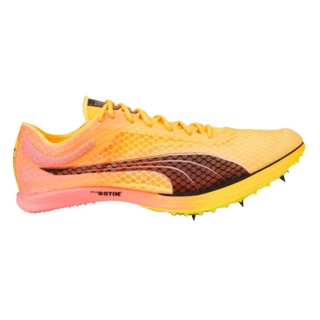 Sapatilha de Atletismo Puma Evospeed Distance Nitro Elite + - Masculina ...