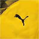 Blusa de Treino Borussia Dortmund 17/18 Puma - Masculina - Foto 6