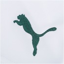 Calção do Palmeiras I 2019 Puma - Masculino - Foto 6