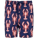 Bermuda de Banho Oxer Santorini Lagosta - Infantil - Foto 3