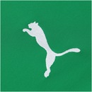 Jaqueta do Palmeiras Stadium 2019 Puma - Masculina - Foto 7