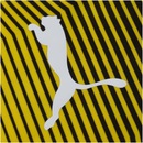 Camisa de Treino Borussia Dortmund 19/20 Puma - Masculina - Foto 5