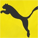 Camisa de Treino Borussia Dortmund 19/20 Puma - Masculina - Foto 9