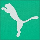 Camisa do Palmeiras III 19 Puma - Masculina - Foto 7