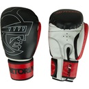 Luvas de Boxe Pretorian First 12 OZ - Adulto - Foto 1