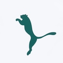 Camiseta do Palmeiras Goal Puma - Masculina - Foto 4