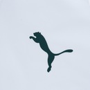 Camiseta do Palmeiras Goal 2020 Puma - Feminina - Foto 4