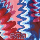 Short Feminino Farm Nylon Tucanos Chevron - Foto 6