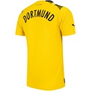 Camisa Borussia Dortmund 22 Torcedor Cup Puma - Masculina - Foto 8
