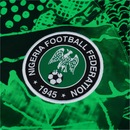 Camisa Nigéria Nike Masculina Dri-Fit Stad - Foto 10