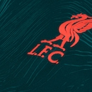 Camiseta do Liverpool 22 Nike Masculina Dri-Fit STAD - Foto 4