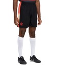 BERMUDA FLAMENGO CONCEPT BRAZILINE MASC - Foto 2