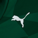 Camisa do Palmeiras I 23 Masculina Puma Torcedor - Foto 11