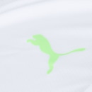 Camisa Polo de Treino do Pameiras 23 Puma - Masculina - Foto 8