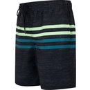 Bermuda Masculina Oxer Longo SWIM - Foto 1