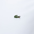 Camiseta Masculina Lacoste Manga Curta - Foto 7