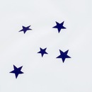 Camiseta do Cruzeiro adidas Masculina Concentração - Foto 9