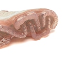 Tênis Nike Air Vapormax 2023 - Foto 10