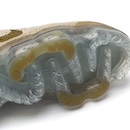 Tênis Air Vapormax 2023 FK - Masculino - Foto 9