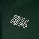 Camiseta do Palmeiras Juvenil 1914 II - Foto 4