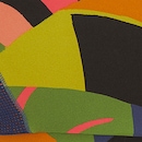 Top Fitness sem Bojo Farm Floresta Leopardo Baixa Sustentação Adulto - Foto 5