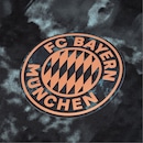 Camisa do Bayern de Munique II 24/25 adidas Masculina Torcedor - Foto 3