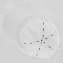 Boné Unissex Fila Sport Style Aba Curva - Foto 4