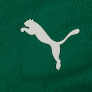 Camisa do Palmeiras I 25 Jogador Puma Masculina - Foto 7