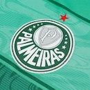 Camiseta do Palmeiras Betel Defense IV Masculina - Foto 3
