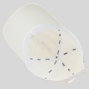 Boné Adulto Fila Turim Aba Curva - Foto 6