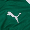 Camisa do Palmeiras I 25/26 Puma Torcedor - Fictor - Masculina - Foto 4