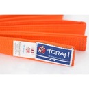 Faixa de Graduação Torah Plus Artes Marciais - Infantil - Foto 1