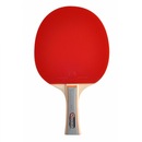 Raquete de Tênis de Mesa Winmax - 2 Estrelas - Cabo Longo - Foto 5