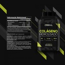 Kit Whey Complex Original Nutrition - 900g - 2 Unidades + BCAA + Colágeno + Glutamina + Creatina + - Foto 5