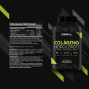 Kit Whey Complex Original Nutrition - 900g - 2 Unidades + BCAA + Colágeno + Glutamina + Creatina + - Foto 5