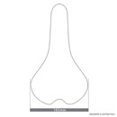 Selim WG Sports MTB Vazado - Adulto - Foto 8